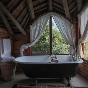 Monkey Valley Resort